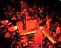 Max Ceek plays Lake George
